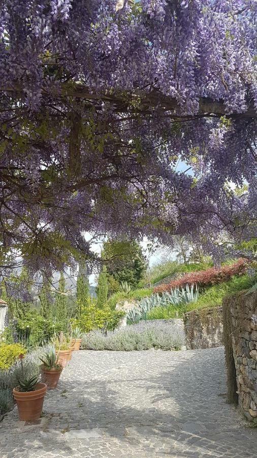 Ancient Estate "Il Trignano" Villa Vietri Екстериор снимка