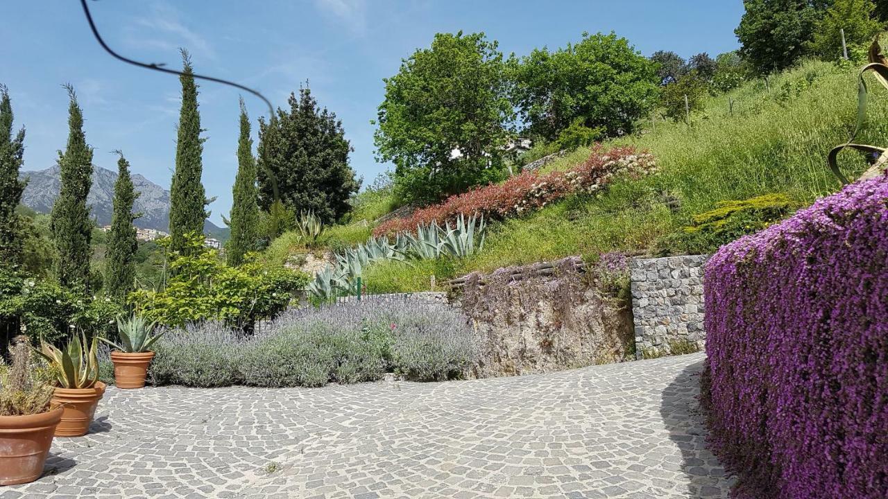 Ancient Estate "Il Trignano" Villa Vietri Екстериор снимка