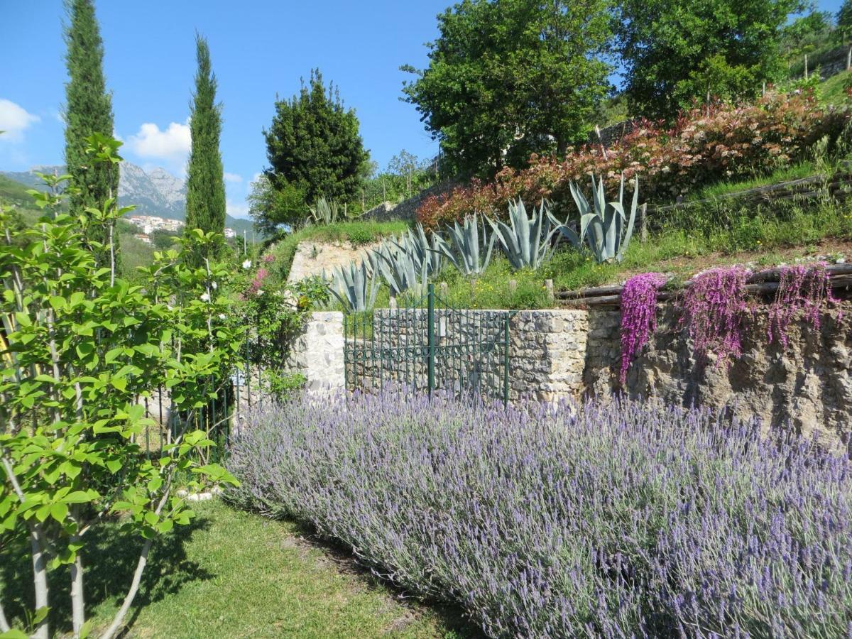 Ancient Estate "Il Trignano" Villa Vietri Екстериор снимка